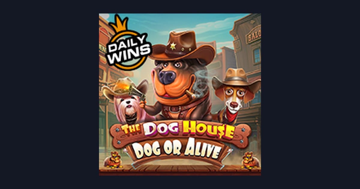 Rahasia Menang Mudah di The Dog House Dog Or Alive untuk Pemula